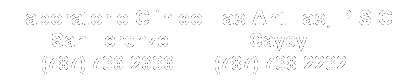 Text Box: Laboratorio Clnico Las Antillas, P.S.C.
         San Lorenzo                Cayey
       (787) 736-2636        (787) 738-2232
